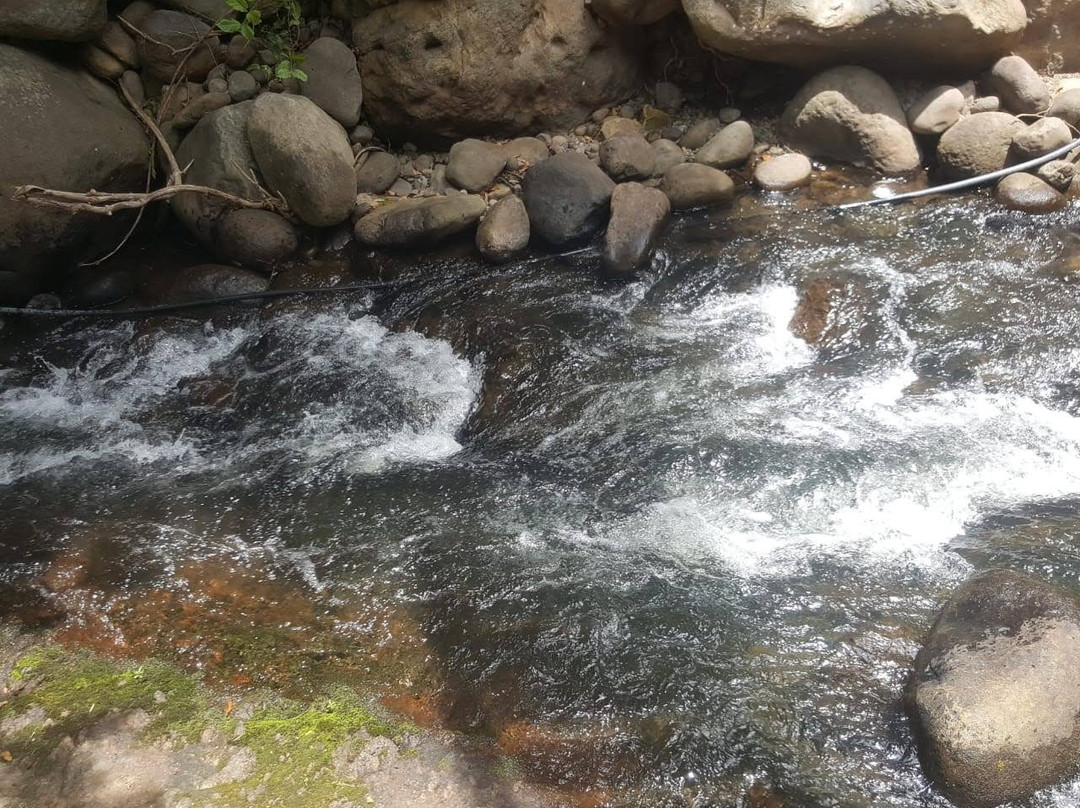 Rio Negro Hot Springs景点图片