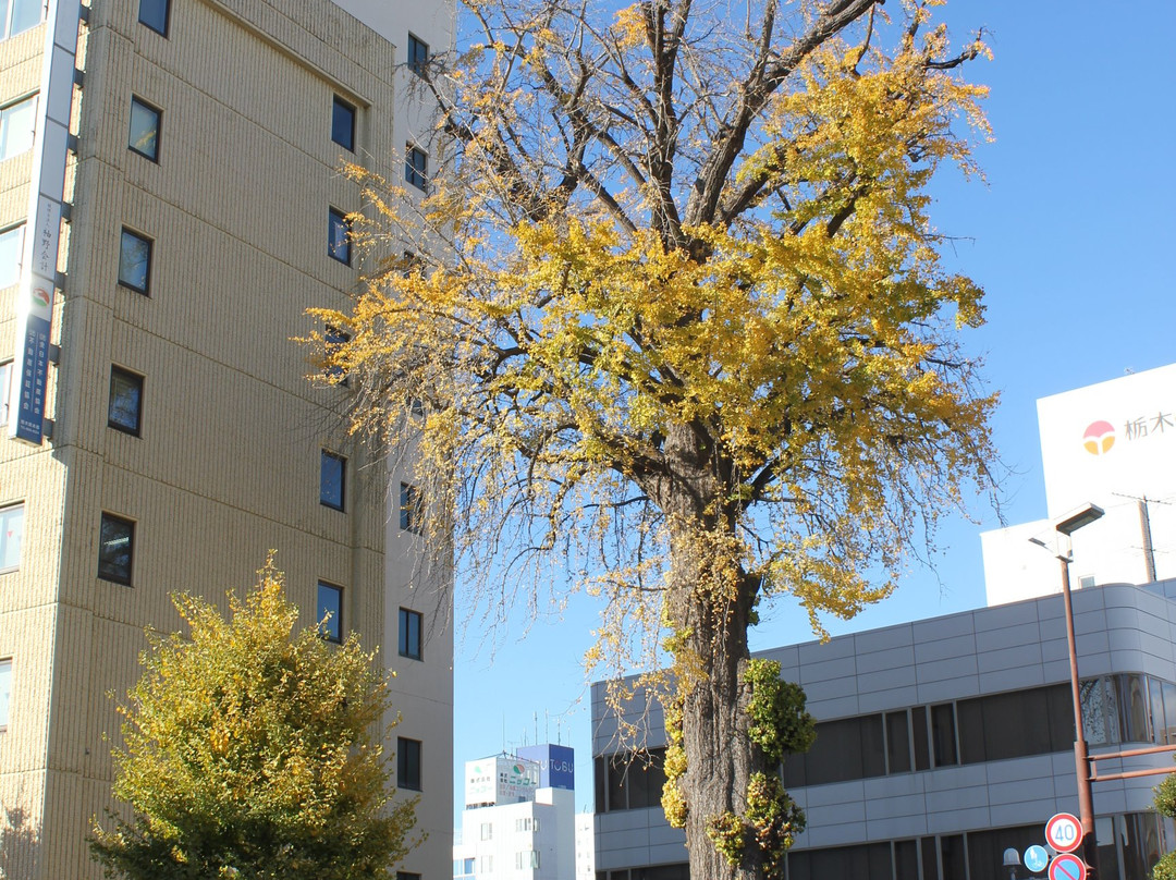 Oicho-宇都宫市必去景点