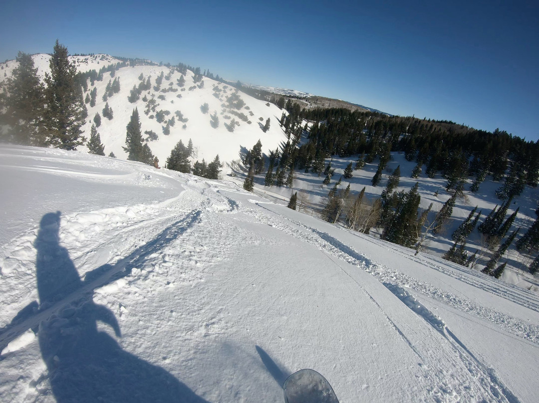 Whisper Ridge Cat Skiing景点图片