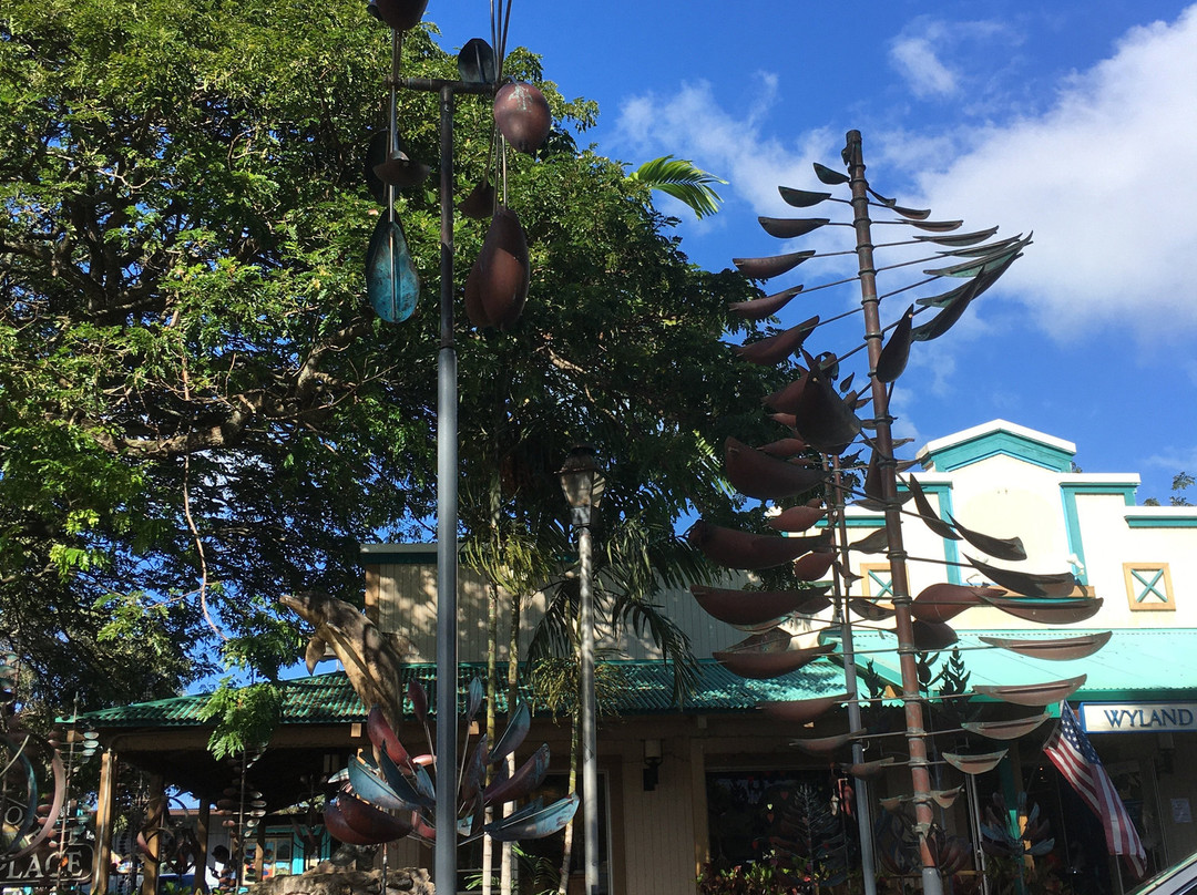 Wyland Galleries-哈雷瓦必去景点