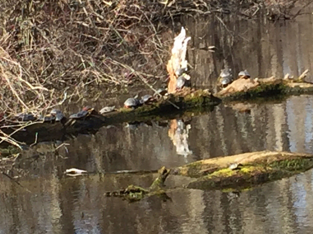 Caratunk Wildlife Refuge-Seekonk必去景点
