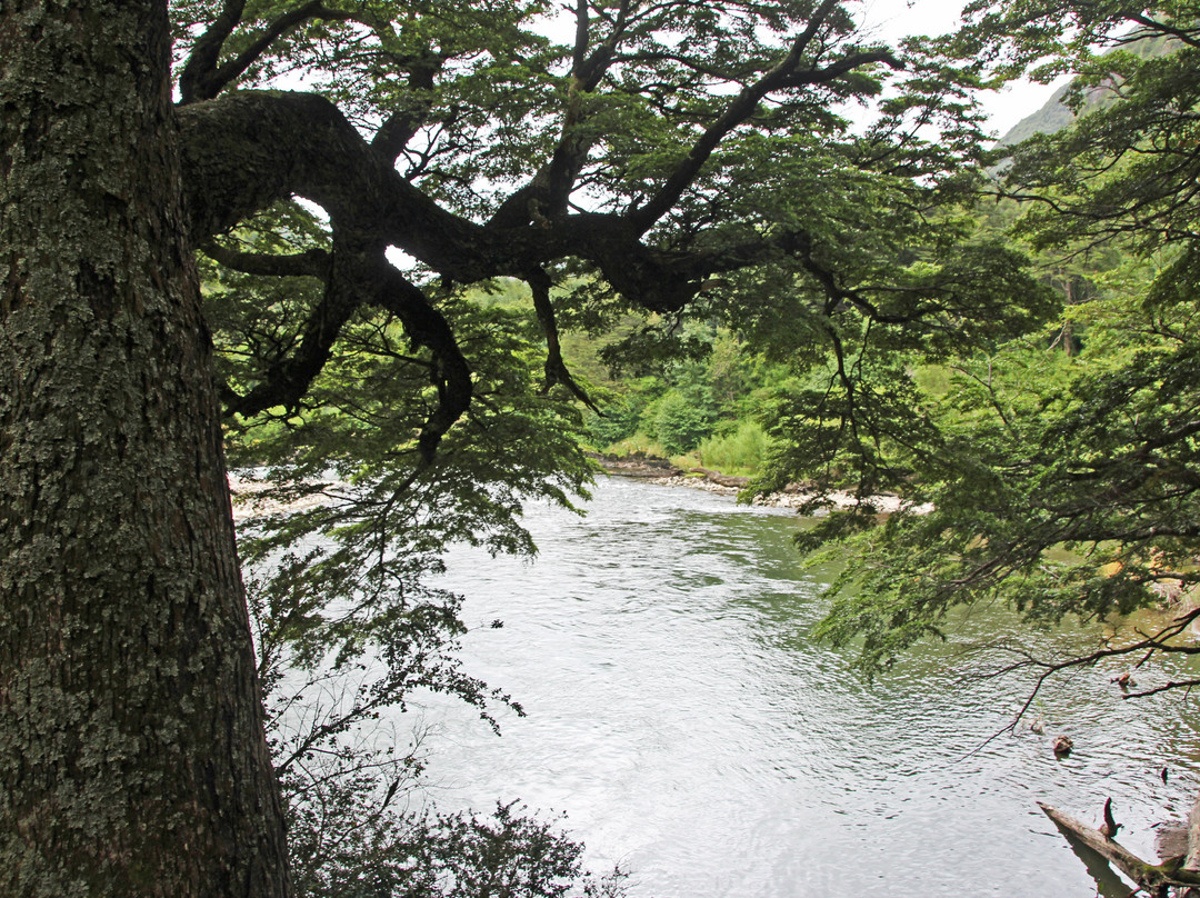 Rio Simpson Nacional Reserve景点图片