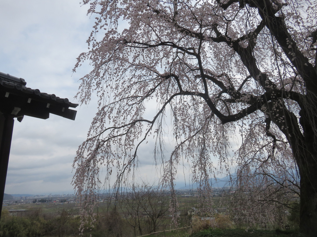 Korin-ji Temple-长野县必去景点