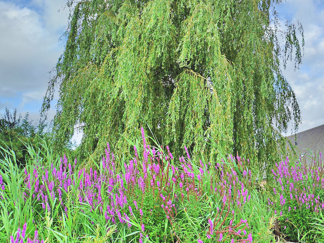 Giessenburg旅游攻略图片