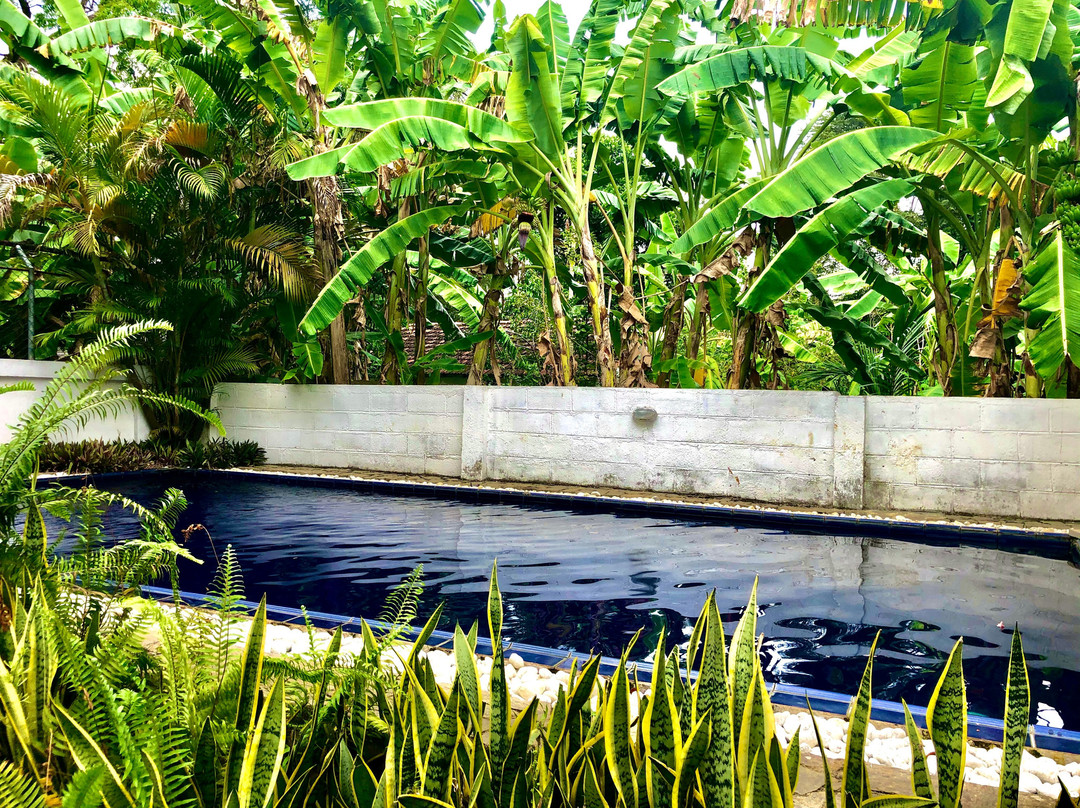 帕瓦纳度假酒店主图