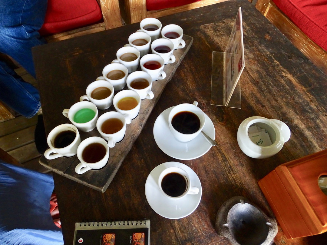 Terrace River Pool Swing-乌布必去景点