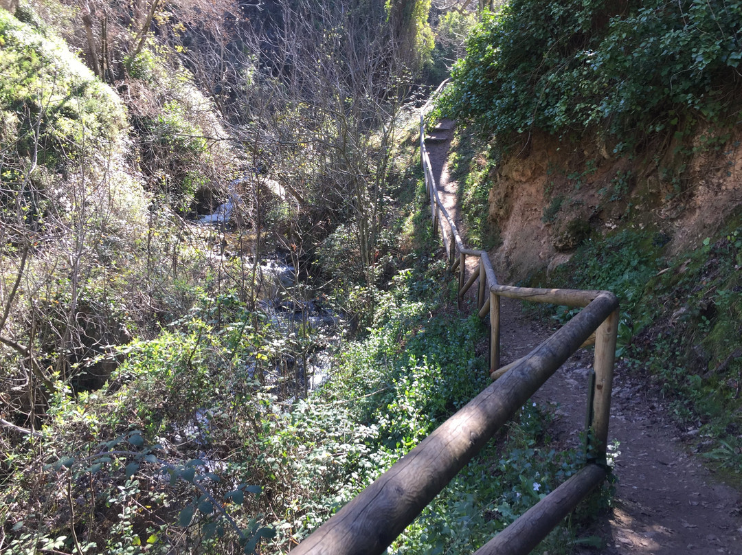 Sendero Rio Cerezuelo-卡索拉必去景点