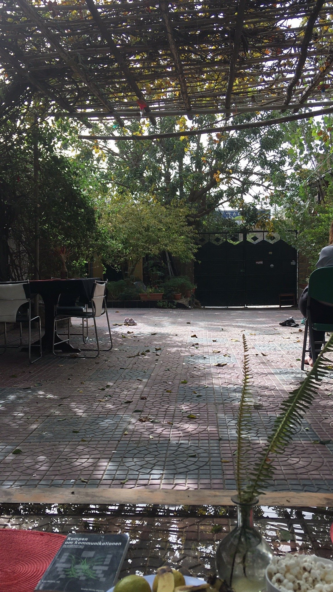 Parrot Pension & Guest House-官方