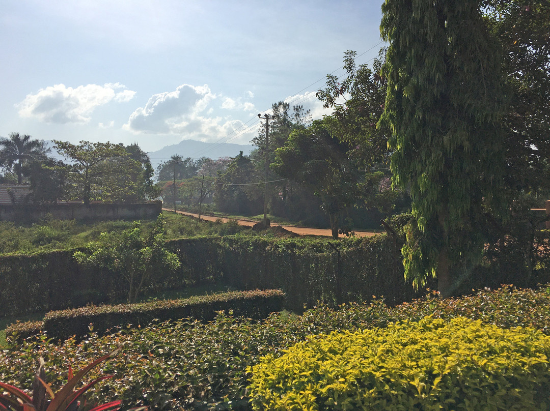 Starlight Hotel主图