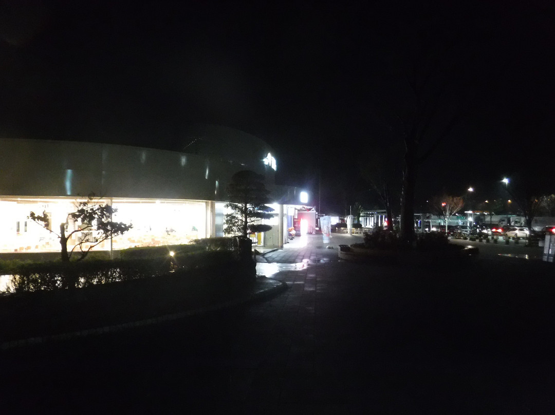 富士川服务区 下行线景点图片