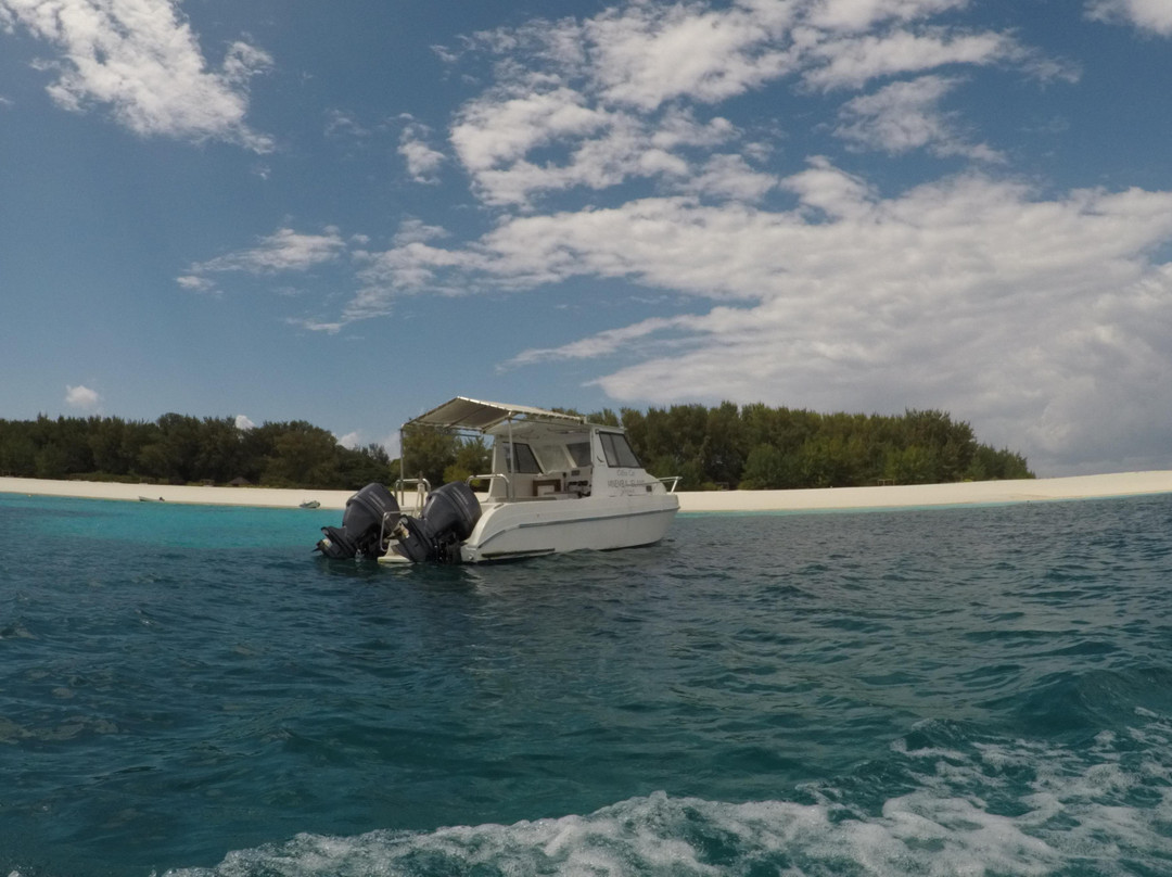 Tripsbetter  Travel-桑给巴尔岛必去景点