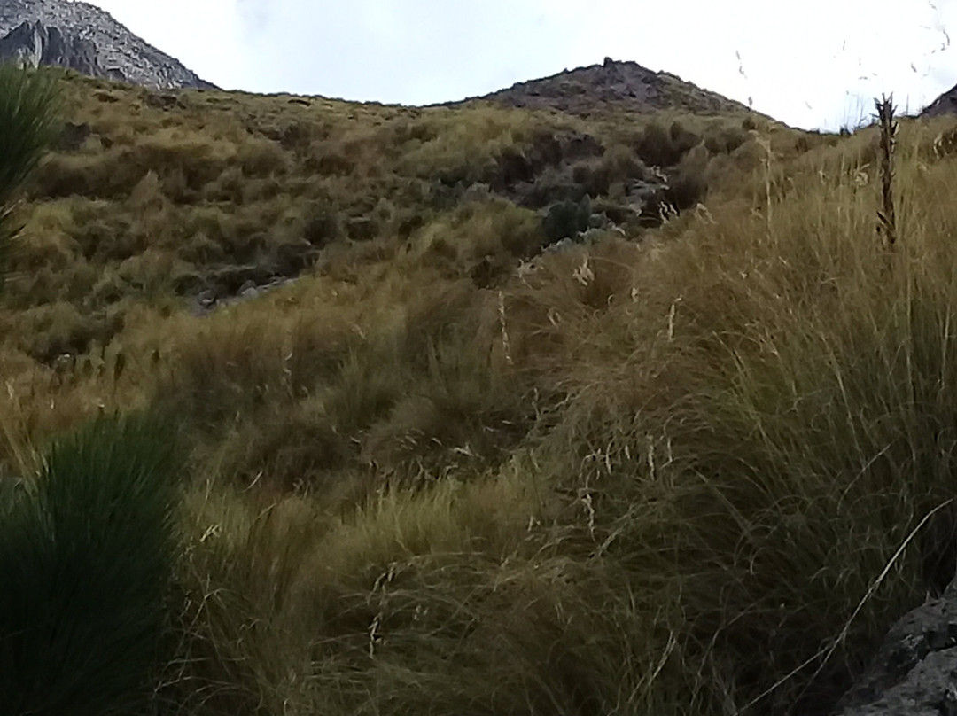 Volcan La Malinche景点图片