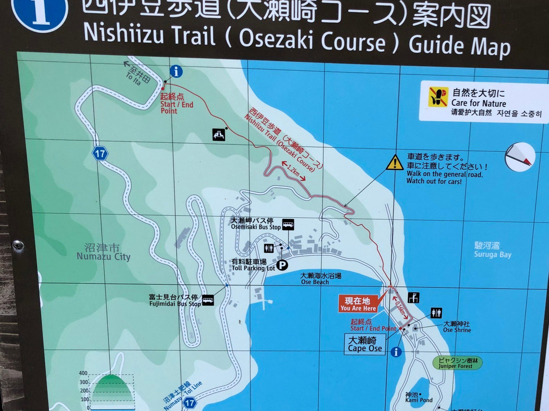 Osezaki景点图片
