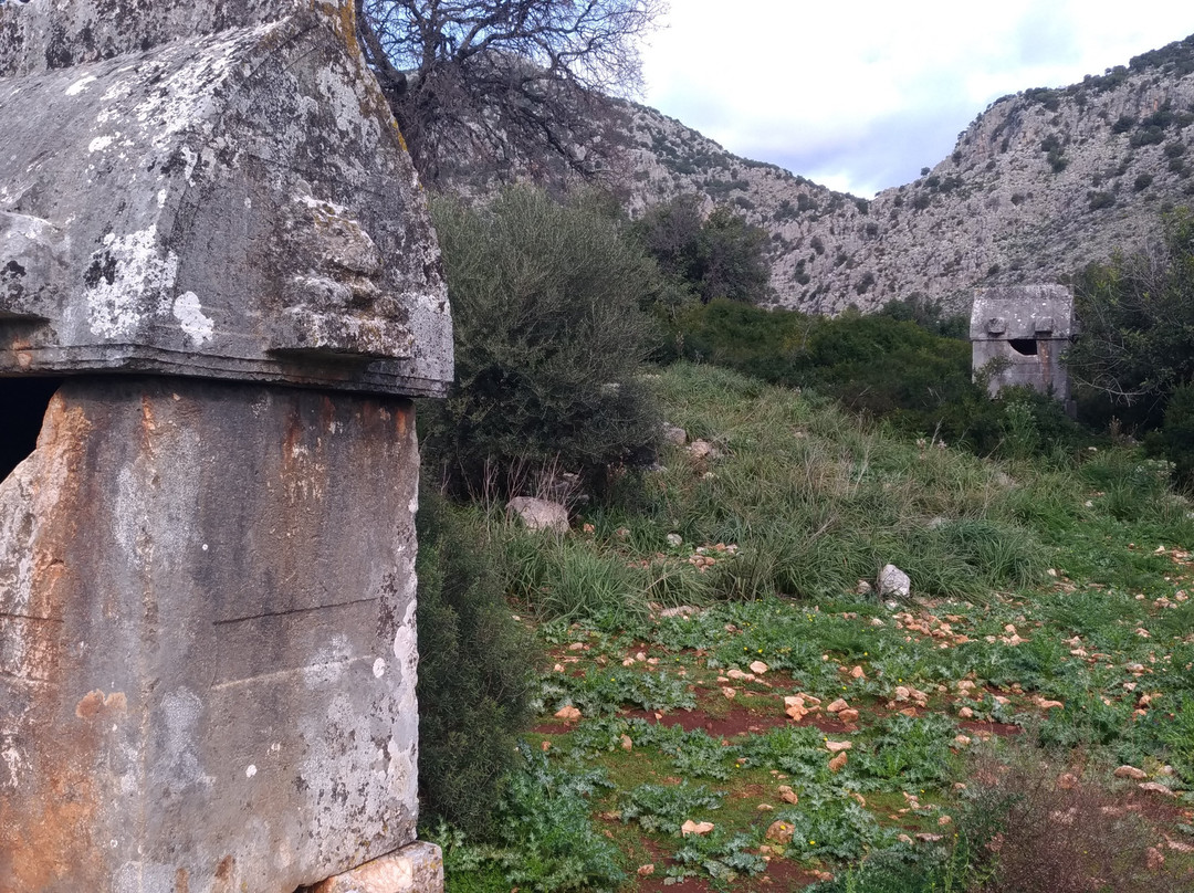 Sura Ancient City景点图片