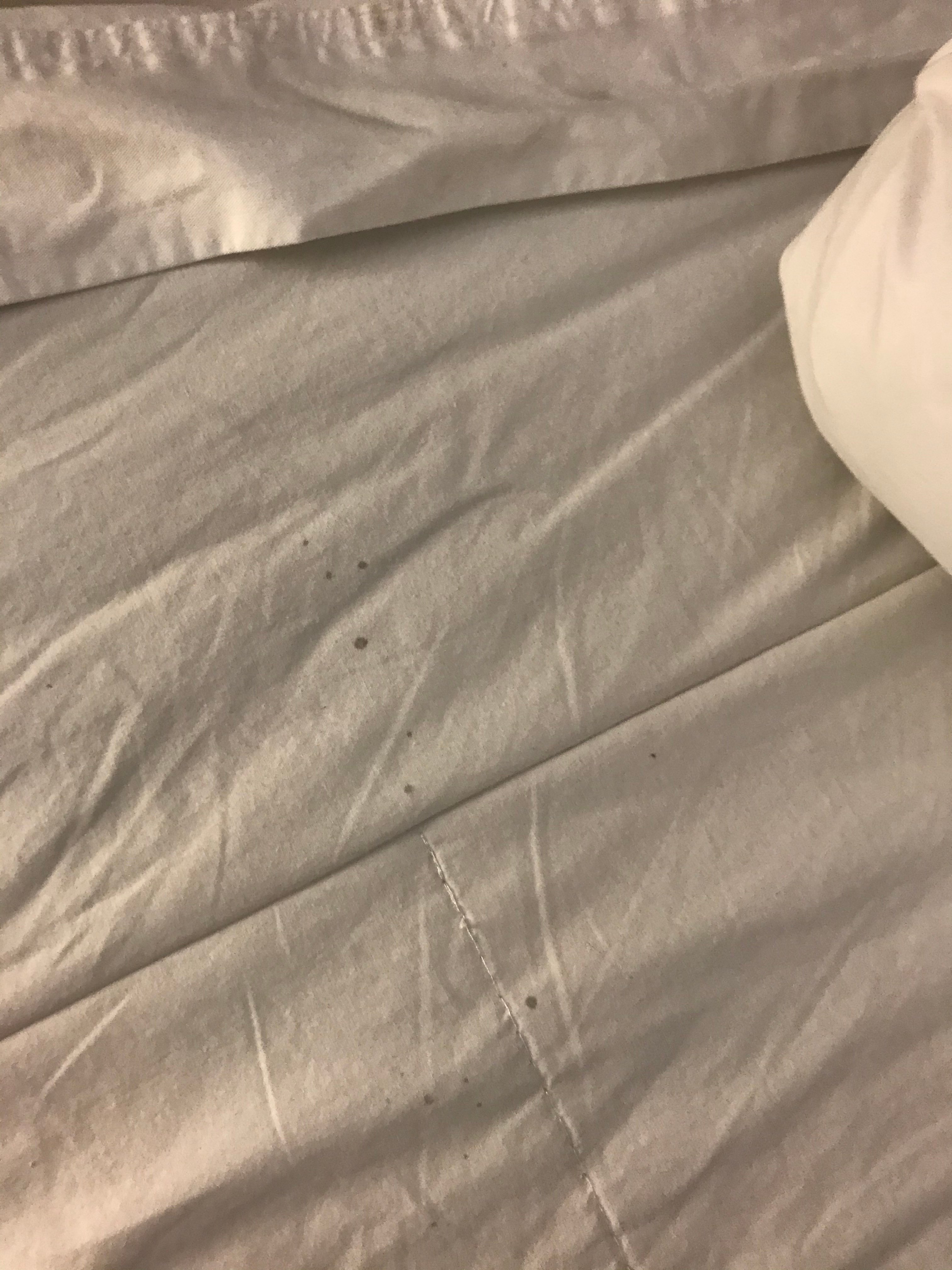 Regency Inn & Suites-官方