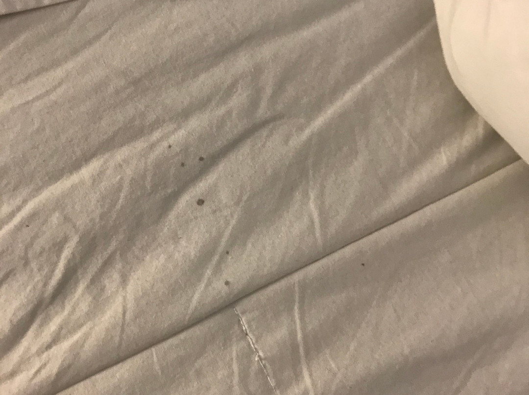 Regency Inn & Suites主图