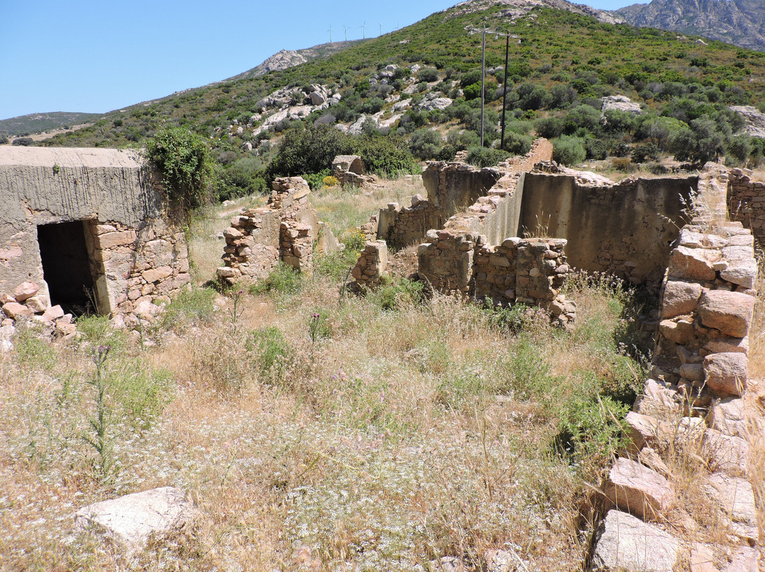 Le Château du Prince Pierre Bonaparte景点图片