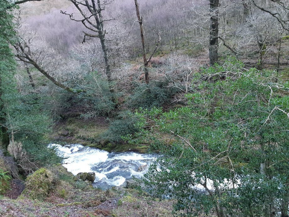 Poulanass Waterfall-Derrybawn必去景点
