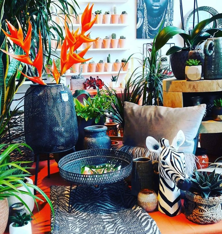 Botanic Home & Garden Centre Cork-Carrigtwohill必去景点