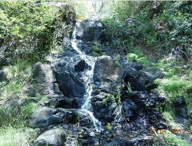 Highfields Falls-Highfields必去景点