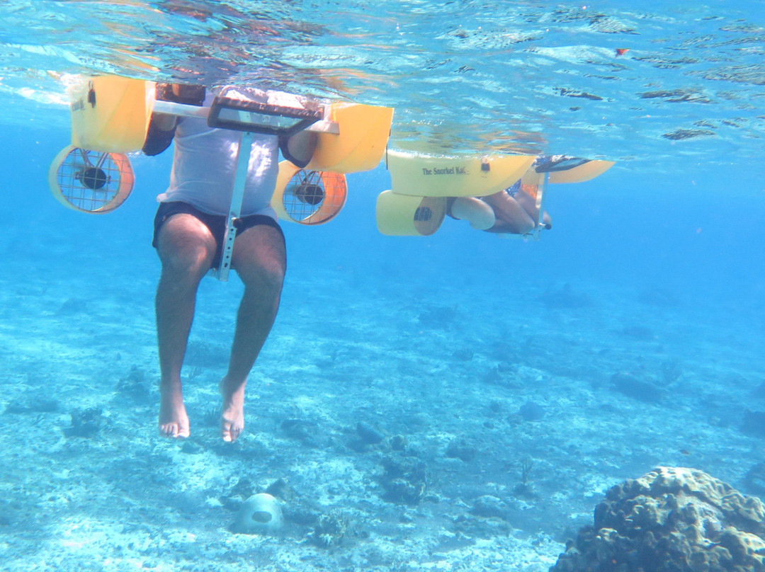 Visit to Cozumel-San Miguel de Cozumel必去景点