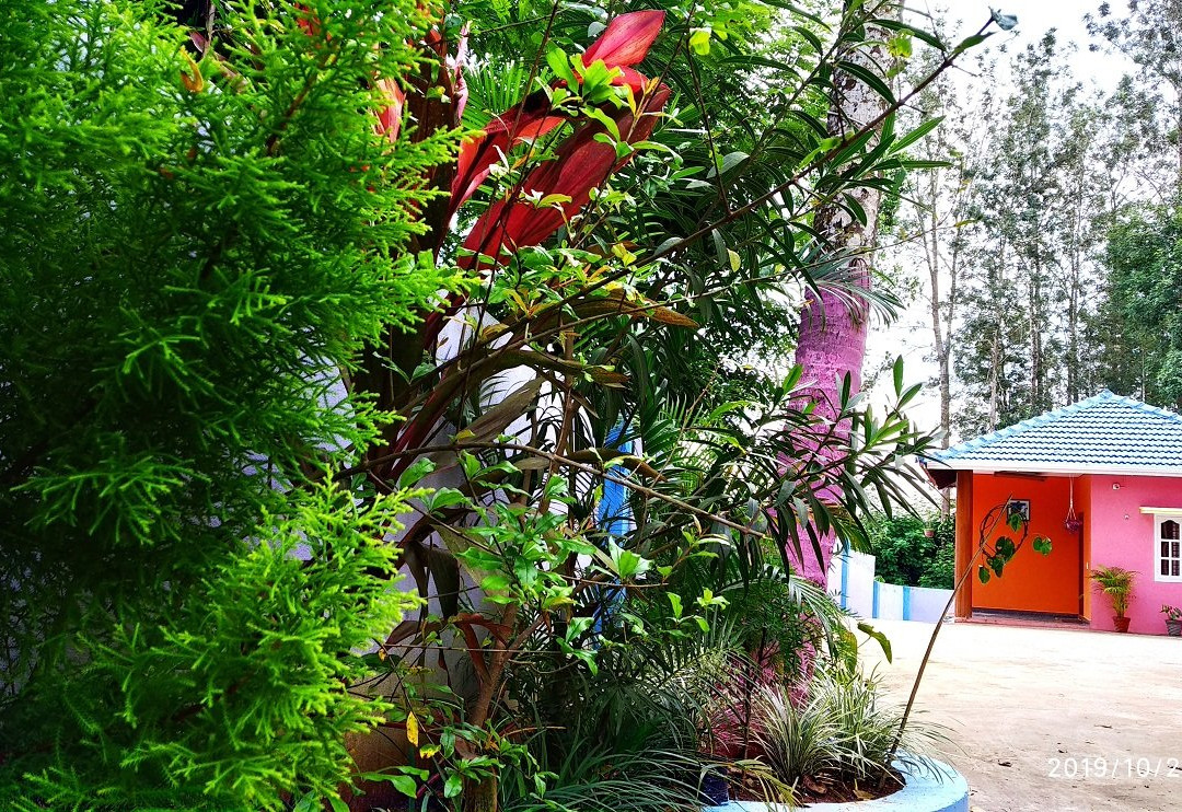Coorg Naveen Homes
