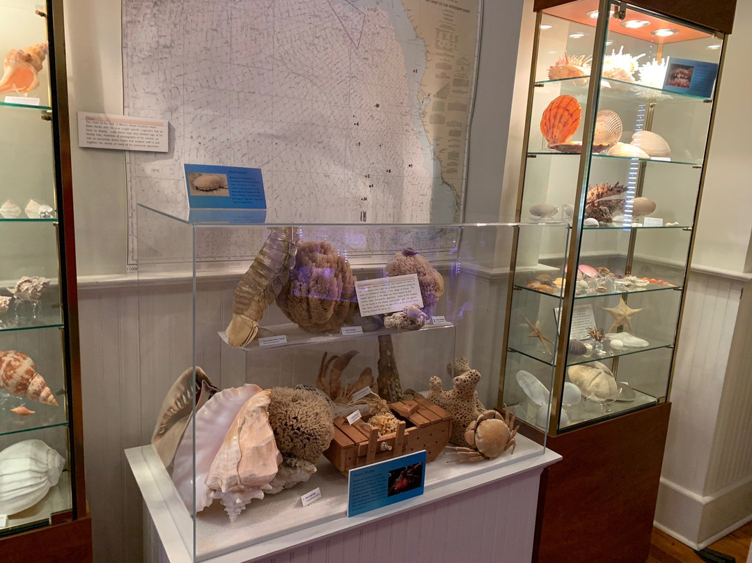 Florida Maritime Museum-Cortez必去景点