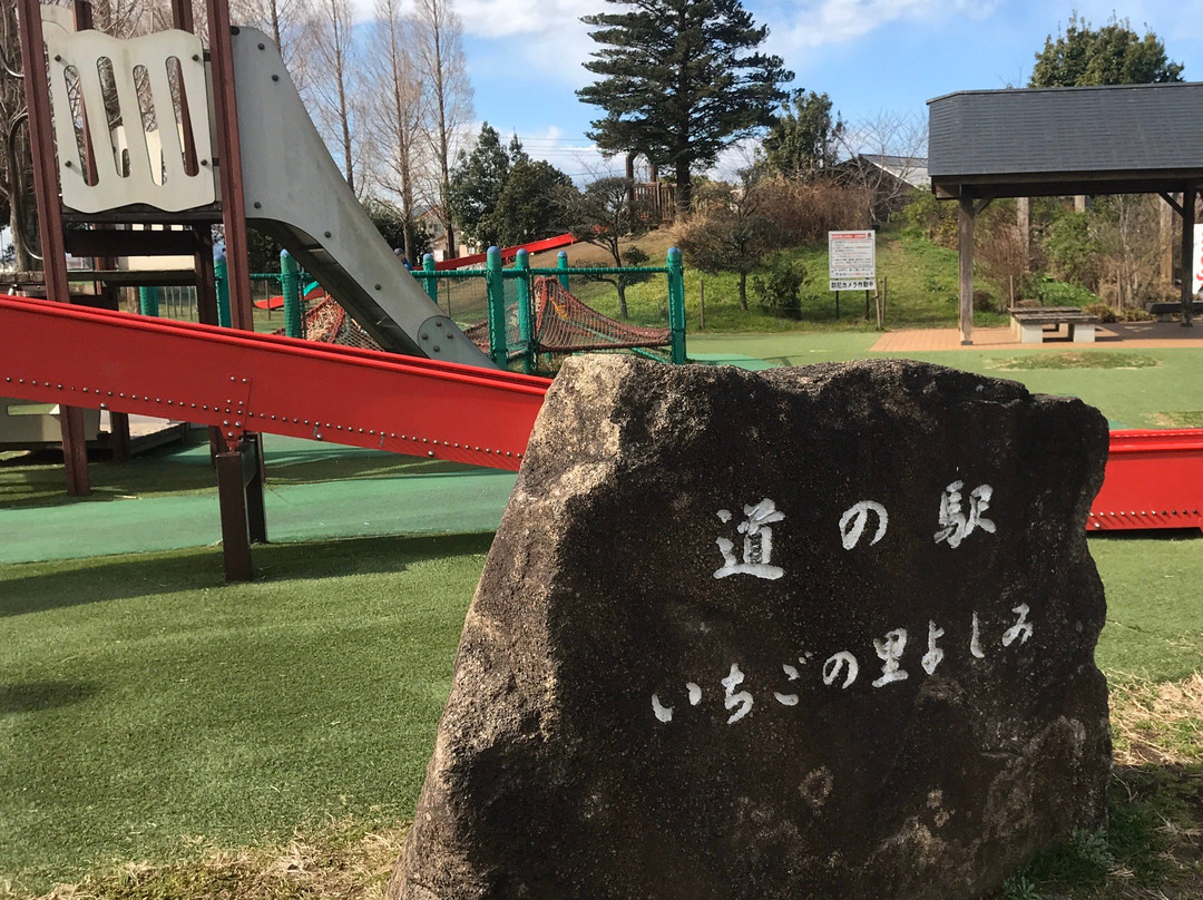 Michi-no-Eki Ichigo no Sato Yoshimi-吉见町必去景点