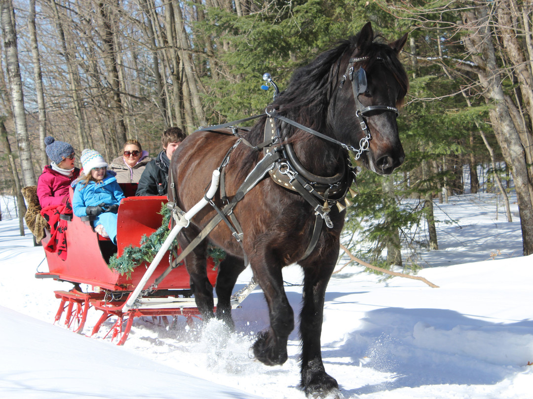 Back of Beyond Equine Centre-亨茨维尔必去景点