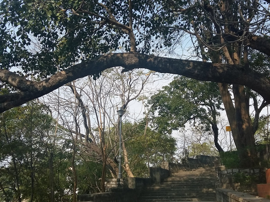 Tagore Hill景点图片