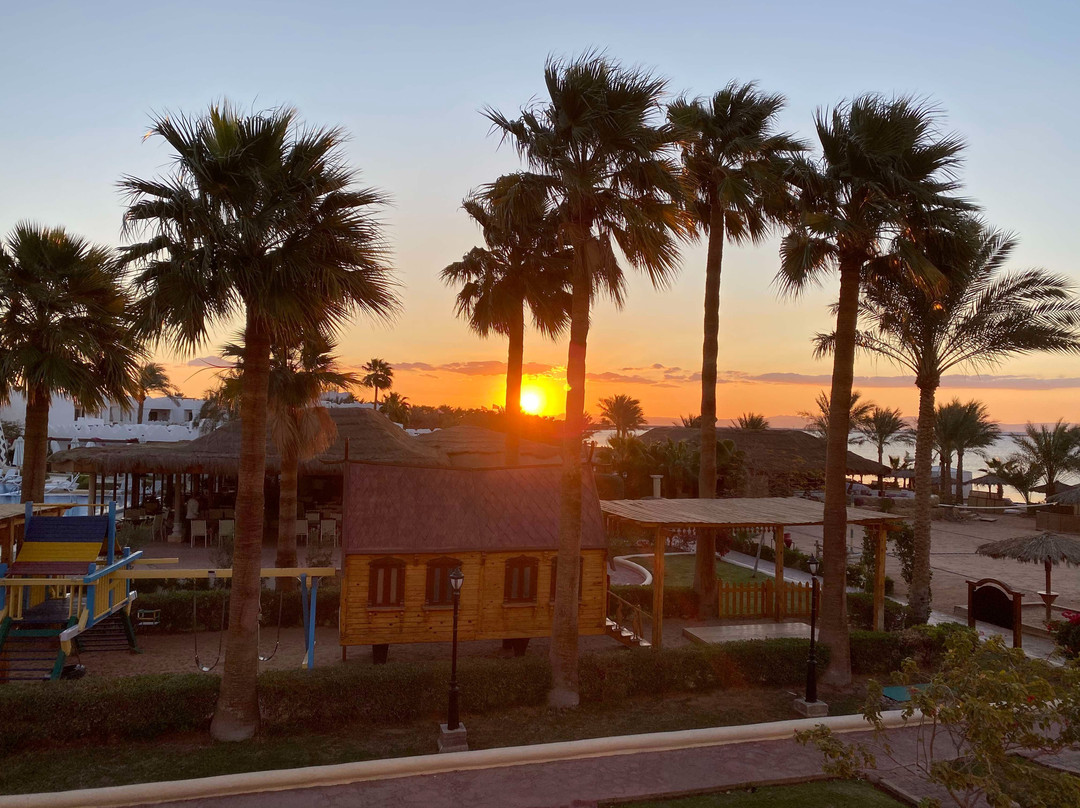 Swiss Inn Resort Dahab主图