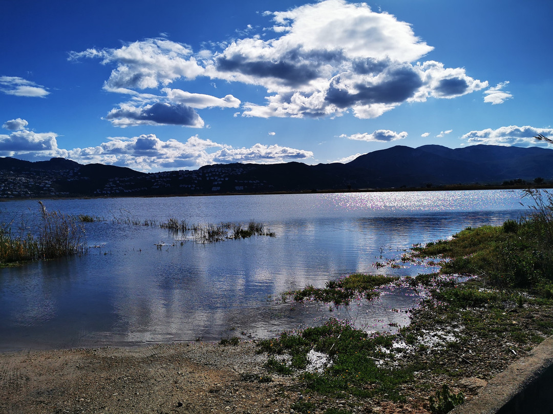 Parque Natural del Marjal de Pego-Oliva景点图片
