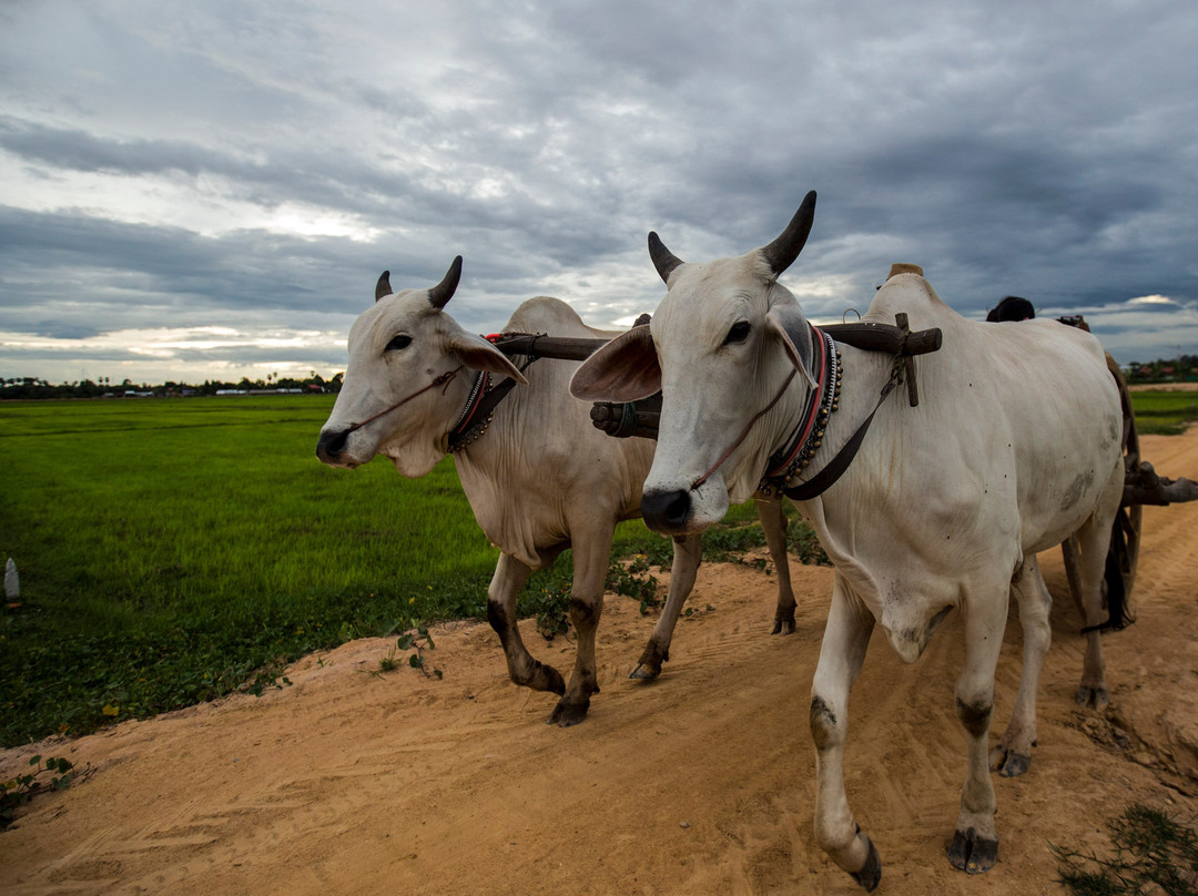 Chan Sa旅游攻略图片