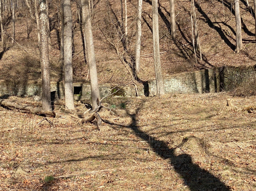 Daniels Ghost Town-埃利科特城必去景点