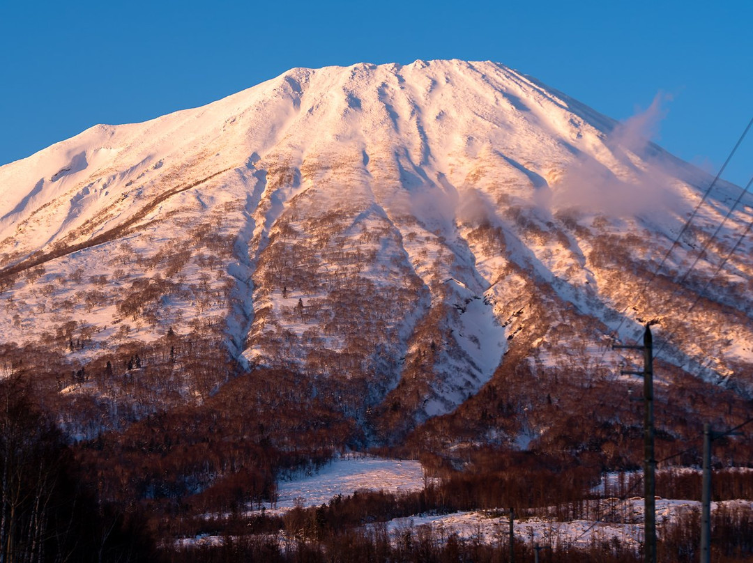 Niseko Moiwa Ski Resort景点图片