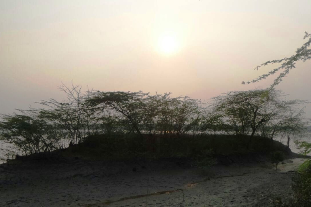 Sundarban Wild Safari景点图片