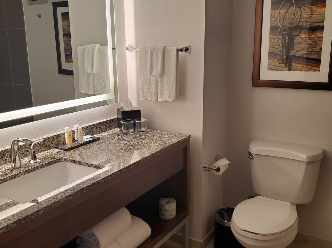 Embassy Suites by Hilton Dallas DFW Airport North主图