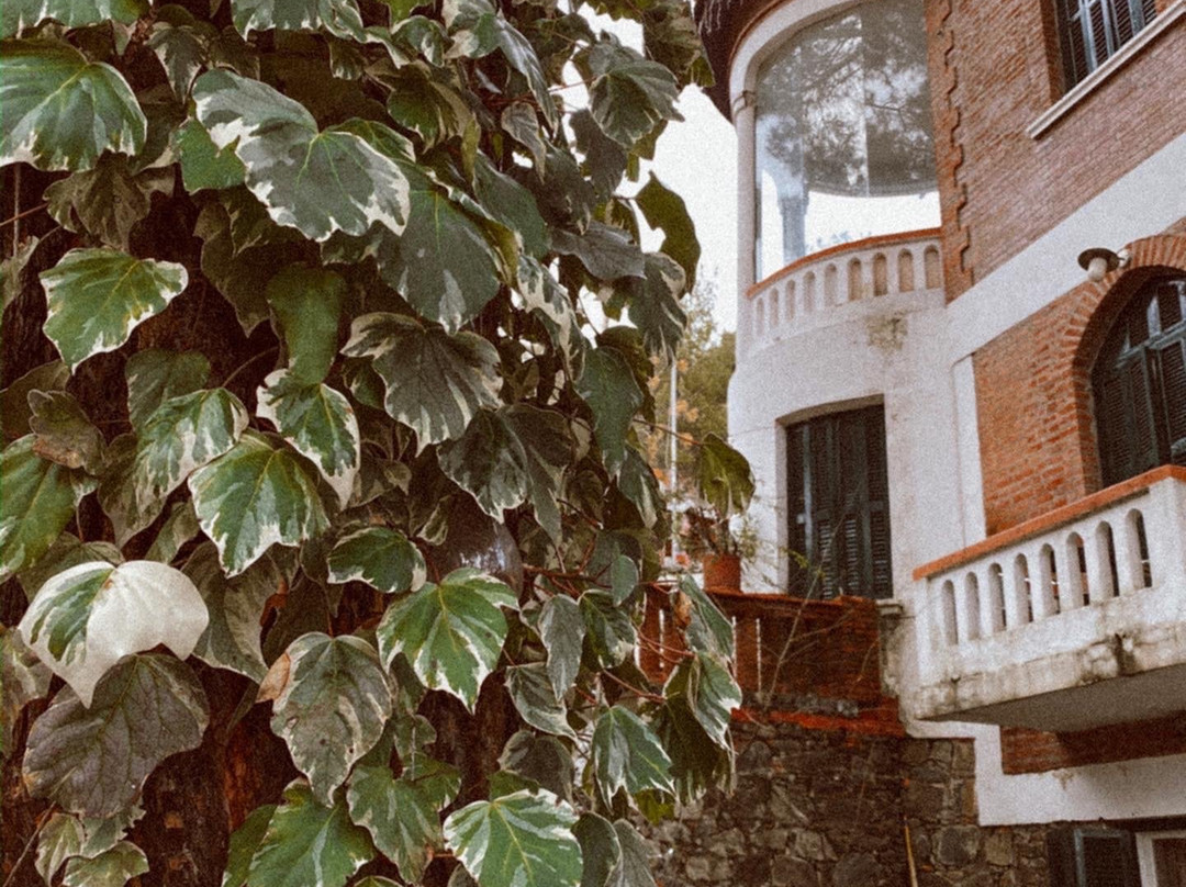 Semiramis Hotel主图