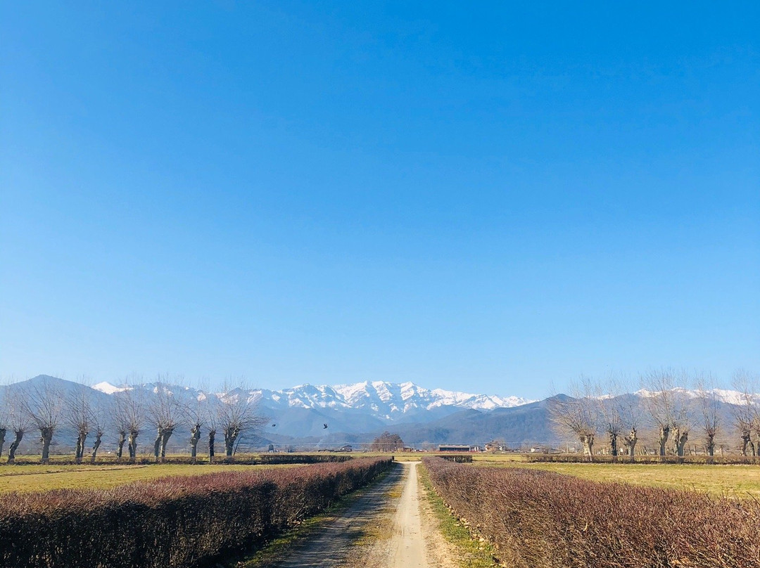 Tenuta il Palazzasso主图