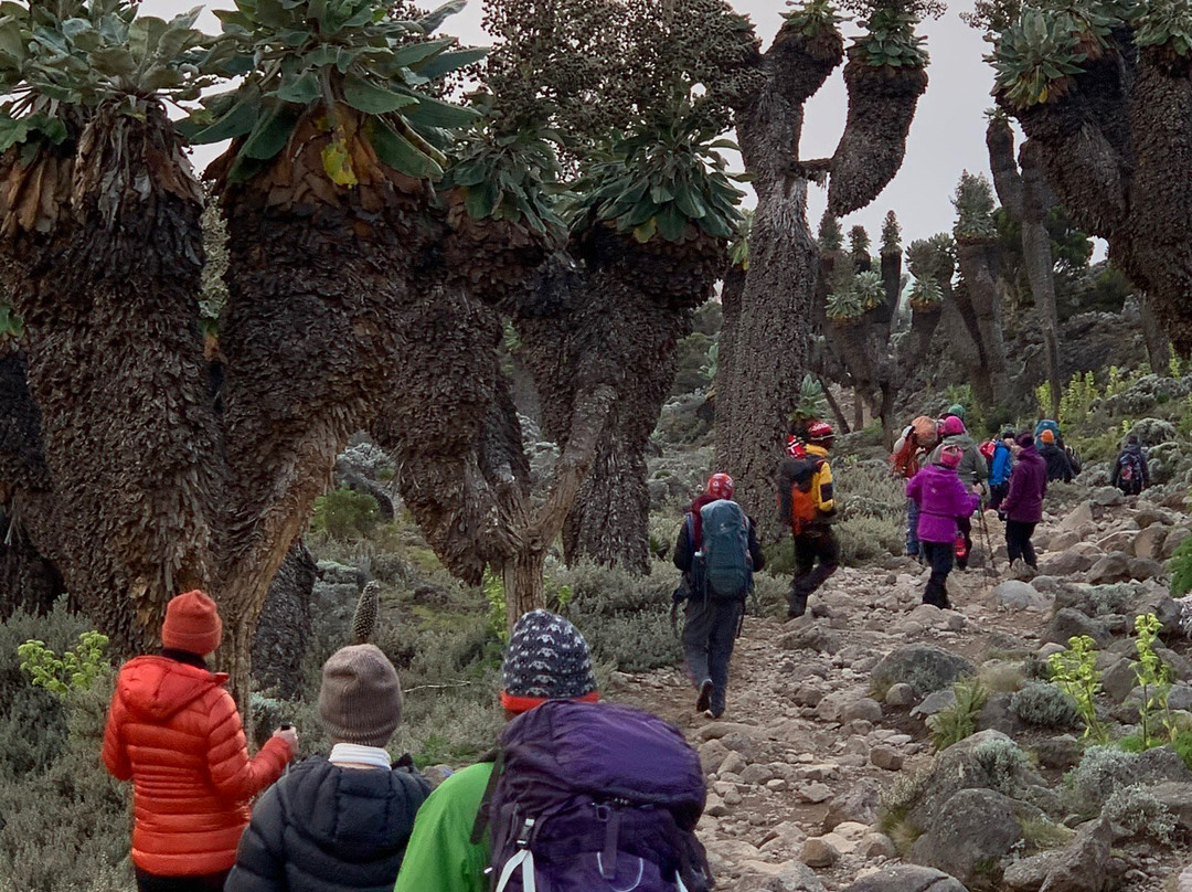 Arctic Tanzania Adventure-阿鲁沙必去景点