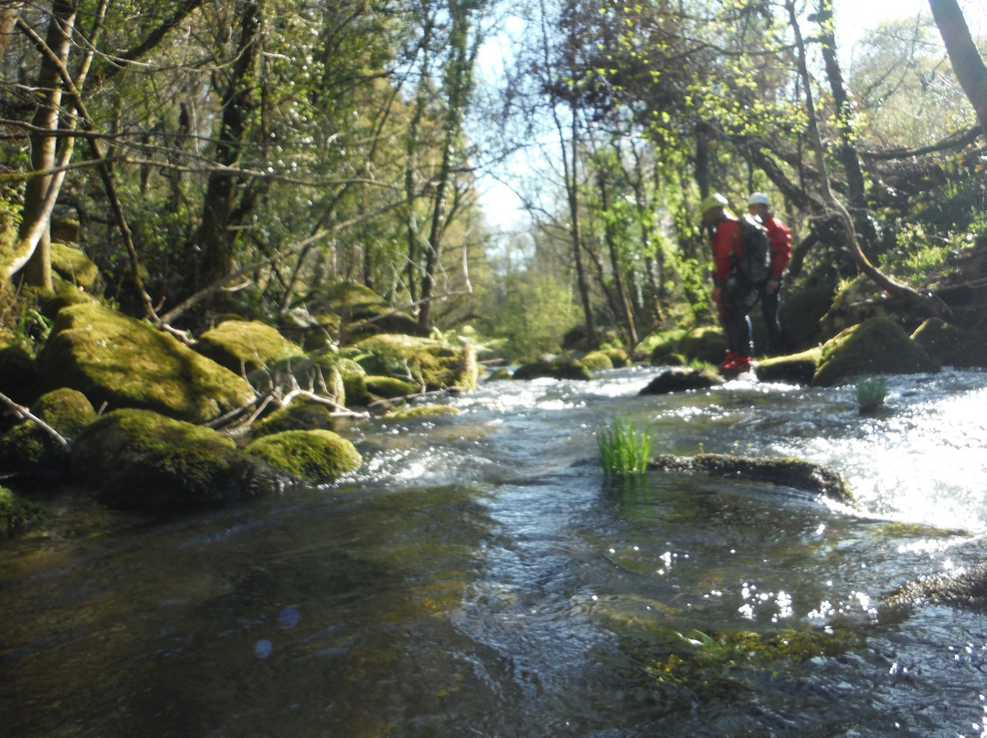 Foxtrot Aventura-Revelhe必去景点