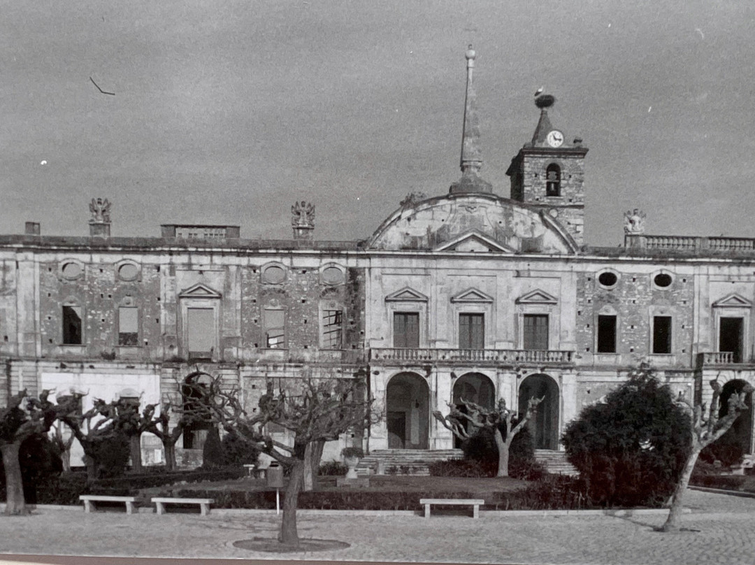 Palacio Manique do Intendente景点图片