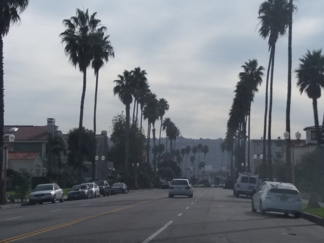 蒙大拿大街-圣莫尼卡必去景点