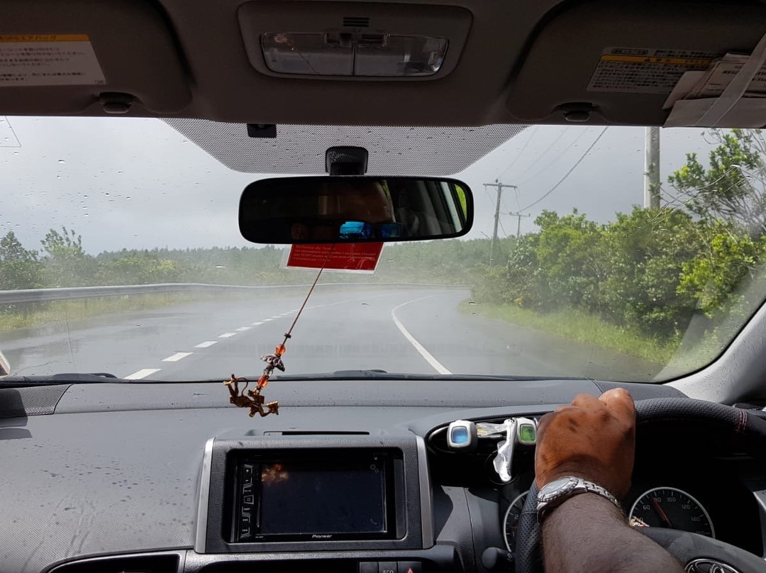 Taxi Mauritius-庞波慕斯必去景点