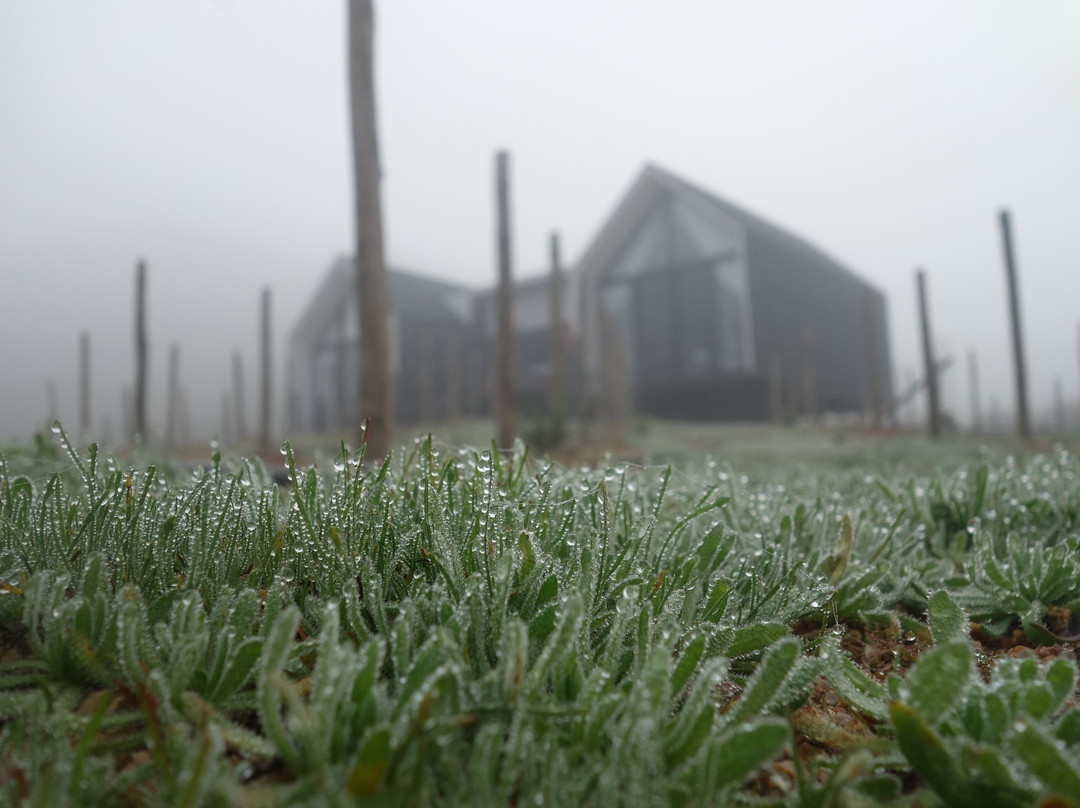 Oeno Wine Lodge主图