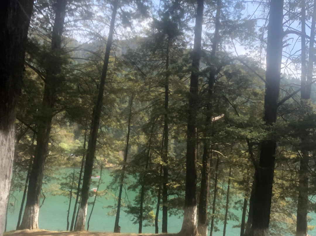 Presa El Cedral-Pluma Hidalgo必去景点