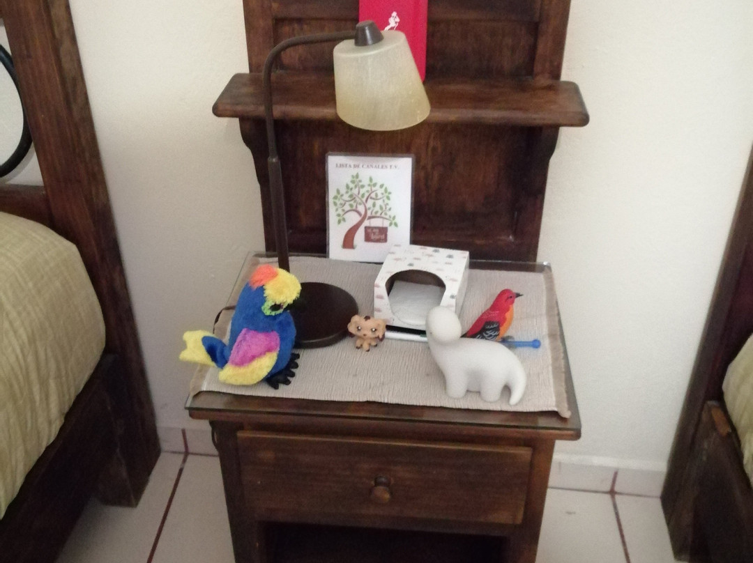 La Casa del Laurel主图