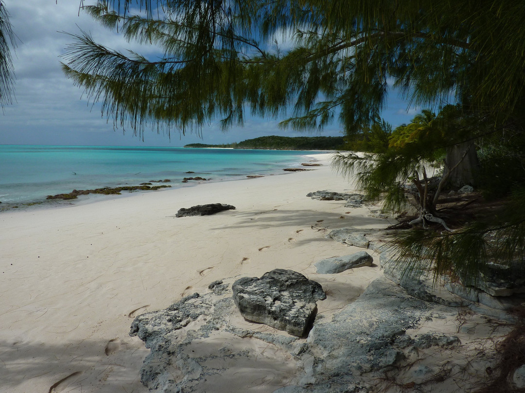 Shannas Cove Resort主图