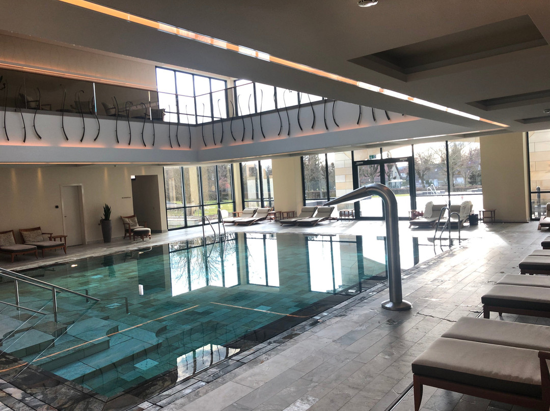 Wald & Schlosshotel Friedrichsruhe Day Spa景点图片