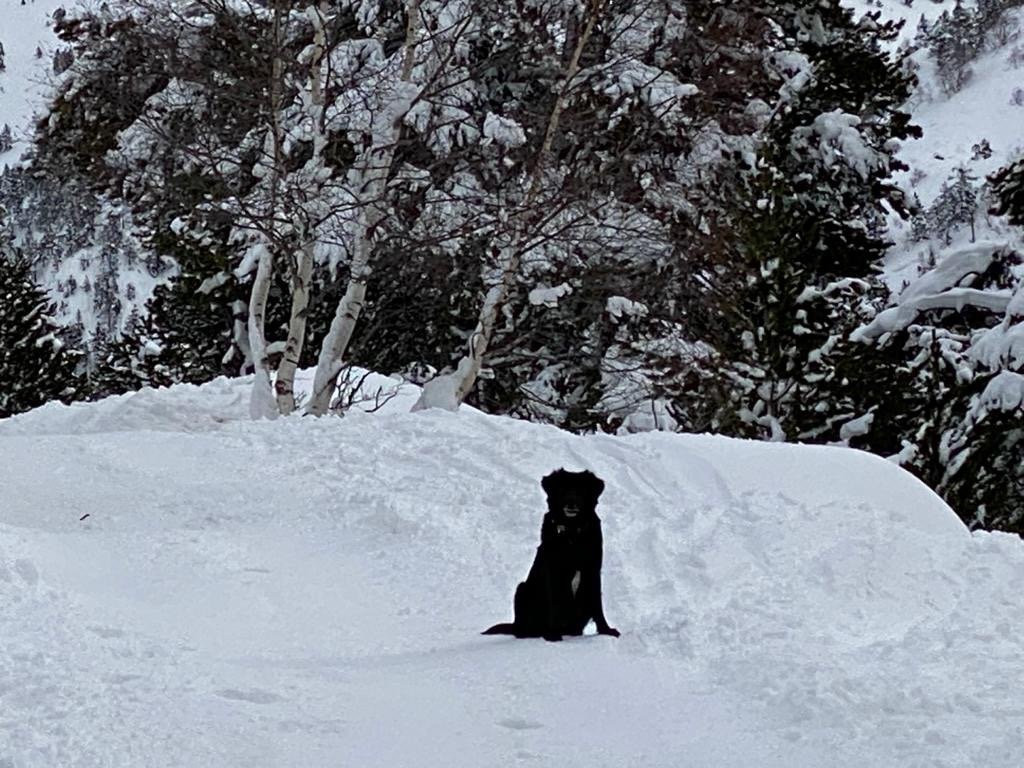 Sorteny Nature Reserve-Ordino必去景点